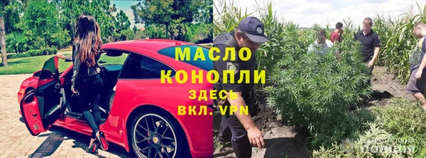 индика Сясьстрой