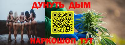 2c-b Кингисепп
