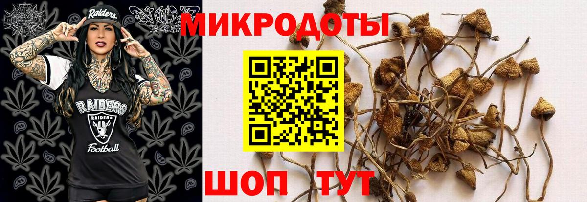 Псилоцибиновые грибы Magic Shrooms  Вход с VPN  Малоярославец 